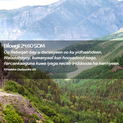 Picture 02 - Bilowgii 24:60 SOM - Oo Rebeqah bay u duceeyeen oo ku yidhaahdeen, - Bible Verse Picture