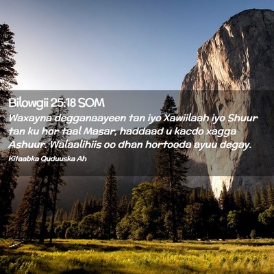 Picture 02 - Bilowgii 25:18 SOM - Waxayna degganaayeen tan iyo Xawiilaah iyo Shuur - Bible Verse Picture