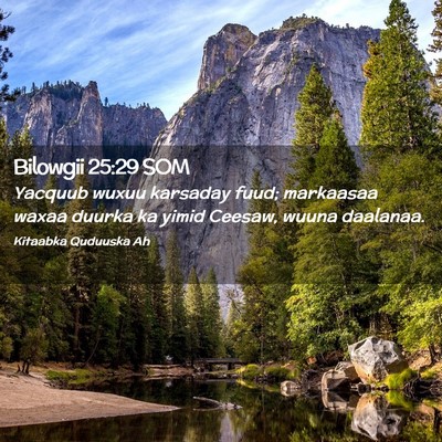 Picture 02 - Bilowgii 25:29 SOM - Yacquub wuxuu karsaday fuud; markaasaa waxaa - Bible Verse Picture