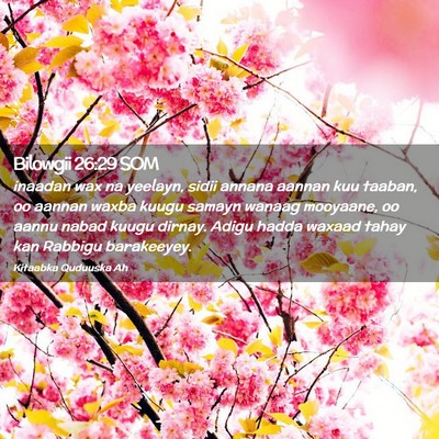 Picture 02 - Bilowgii 26:29 SOM - inaadan wax na yeelayn, sidii annana aannan kuu - Bible Verse Picture