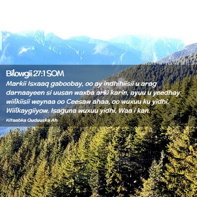 Picture 02 - Bilowgii 27:1 SOM - Markii Isxaaq gaboobay, oo ay indhihiisii u arag - Bible Verse Picture