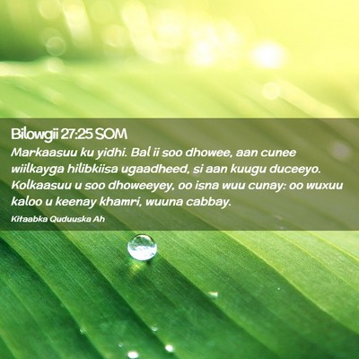 Picture 02 - Bilowgii 27:25 SOM - Markaasuu ku yidhi. Bal ii soo dhowee, aan cunee - Bible Verse Picture
