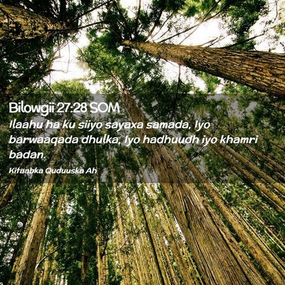 Picture 02 - Bilowgii 27:28 SOM - Ilaahu ha ku siiyo sayaxa samada, Iyo barwaaqada - Bible Verse Picture