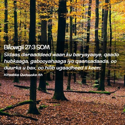 Picture 02 - Bilowgii 27:3 SOM - Sidaas daraaddeed waan ku baryayaaye, qaado - Bible Verse Picture