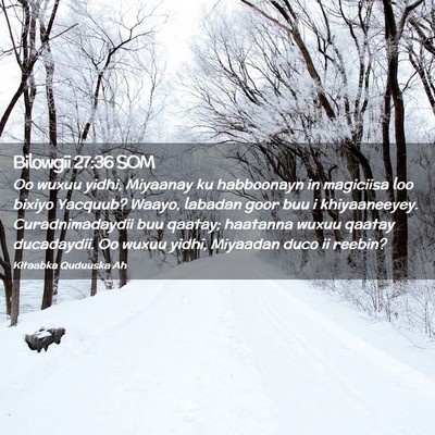 Picture 02 - Bilowgii 27:36 SOM - Oo wuxuu yidhi, Miyaanay ku habboonayn in - Bible Verse Picture