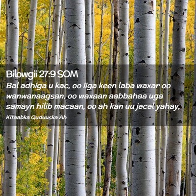 Picture 02 - Bilowgii 27:9 SOM - Bal adhiga u kac, oo iiga keen laba waxar oo - Bible Verse Picture