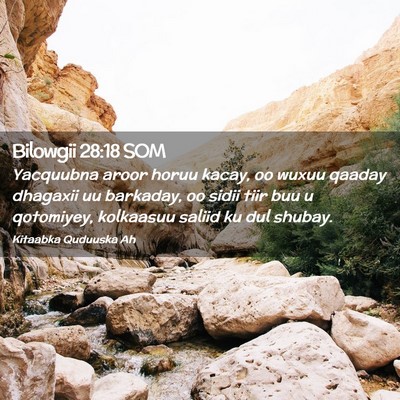 Picture 02 - Bilowgii 28:18 SOM - Yacquubna aroor horuu kacay, oo wuxuu qaaday - Bible Verse Picture