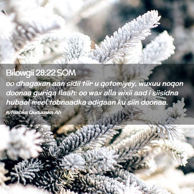 Picture 02 - Bilowgii 28:22 SOM - oo dhagaxan aan sidii tiir u qotomiyey, wuxuu - Bible Verse Picture