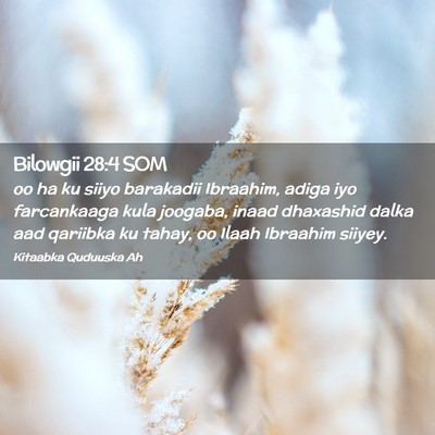 Picture 02 - Bilowgii 28:4 SOM - oo ha ku siiyo barakadii Ibraahim, adiga iyo - Bible Verse Picture