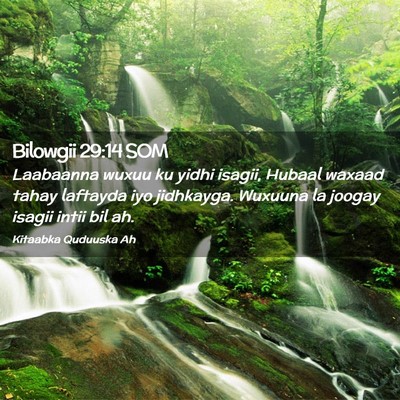 Picture 02 - Bilowgii 29:14 SOM - Laabaanna wuxuu ku yidhi isagii, Hubaal waxaad - Bible Verse Picture