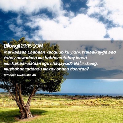 Picture 02 - Bilowgii 29:15 SOM - Markaasaa Laabaan Yacquub ku yidhi, Walaalkayga - Bible Verse Picture