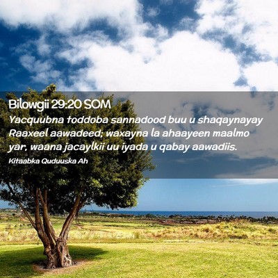 Picture 02 - Bilowgii 29:20 SOM - Yacquubna toddoba sannadood buu u shaqaynayay - Bible Verse Picture