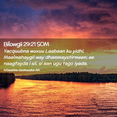 Picture 02 - Bilowgii 29:21 SOM - Yacquubna wuxuu Laabaan ku yidhi, Maalmahaygii - Bible Verse Picture