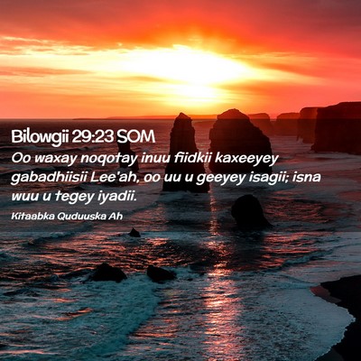Picture 02 - Bilowgii 29:23 SOM - Oo waxay noqotay inuu fiidkii kaxeeyey - Bible Verse Picture