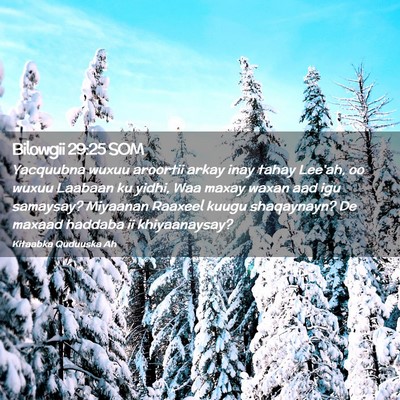 Picture 02 - Bilowgii 29:25 SOM - Yacquubna wuxuu aroortii arkay inay tahay Lee'ah, - Bible Verse Picture