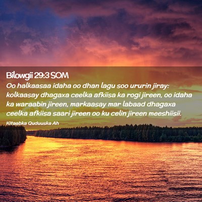 Picture 02 - Bilowgii 29:3 SOM - Oo halkaasaa idaha oo dhan lagu soo ururin jiray: - Bible Verse Picture