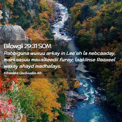 Picture 02 - Bilowgii 29:31 SOM - Rabbiguna wuxuu arkay in Lee'ah la nebcaaday, - Bible Verse Picture