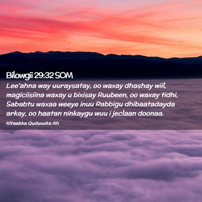 Picture 02 - Bilowgii 29:32 SOM - Lee'ahna way uuraysatay, oo waxay dhashay wiil, - Bible Verse Picture