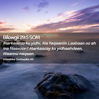 Picture 02 - Bilowgii 29:5 SOM - Markaasuu ku yidhi, Ma taqaaniin Laabaan oo ah - Bible Verse Picture