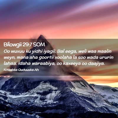 Picture 02 - Bilowgii 29:7 SOM - Oo wuxuu ku yidhi iyagii, Bal eega, weli waa - Bible Verse Picture