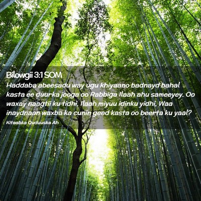 Picture 02 - Bilowgii 3:1 SOM - Haddaba abeesadu way ugu khiyaano badnayd bahal - Bible Verse Picture