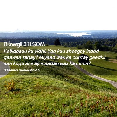 Picture 02 - Bilowgii 3:11 SOM - Kolkaasuu ku yidhi, Yaa kuu sheegay inaad qaawan - Bible Verse Picture