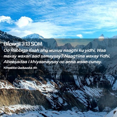 Picture 02 - Bilowgii 3:13 SOM - Oo Rabbiga Ilaah ahu wuxuu naagtii ku yidhi, Waa - Bible Verse Picture