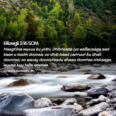 Picture 02 - Bilowgii 3:16 SOM - Naagtiina wuxuu ku yidhi, Dhibtaada iyo - Bible Verse Picture