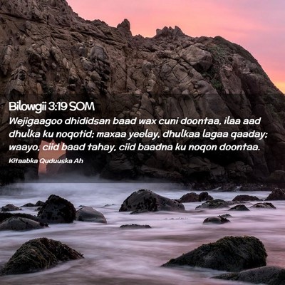 Picture 02 - Bilowgii 3:19 SOM - Wejigaagoo dhididsan baad wax cuni doontaa, ilaa - Bible Verse Picture