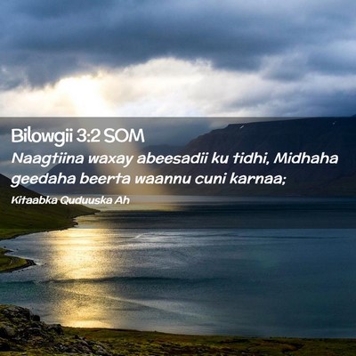 Picture 02 - Bilowgii 3:2 SOM - Naagtiina waxay abeesadii ku tidhi, Midhaha - Bible Verse Picture