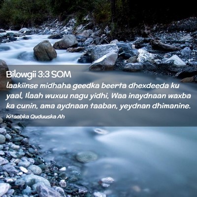 Picture 02 - Bilowgii 3:3 SOM - laakiinse midhaha geedka beerta dhexdeeda ku - Bible Verse Picture