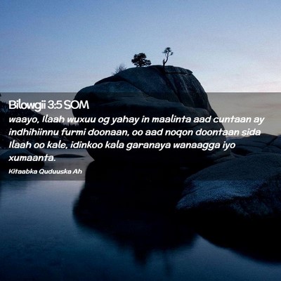 Picture 02 - Bilowgii 3:5 SOM - waayo, Ilaah wuxuu og yahay in maalinta aad - Bible Verse Picture