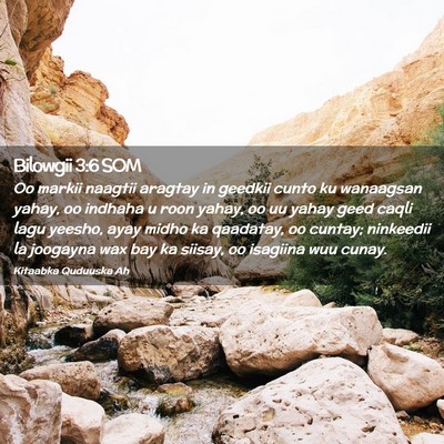 Picture 02 - Bilowgii 3:6 SOM - Oo markii naagtii aragtay in geedkii cunto ku - Bible Verse Picture