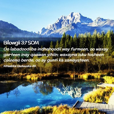 Picture 02 - Bilowgii 3:7 SOM - Oo labadoodiiba indhahoodii way furmeen, oo waxay - Bible Verse Picture
