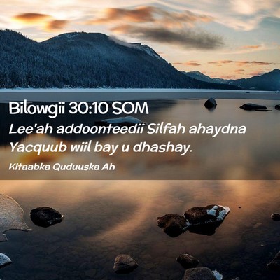 Picture 02 - Bilowgii 30:10 SOM - Lee'ah addoonteedii Silfah ahaydna Yacquub wiil - Bible Verse Picture