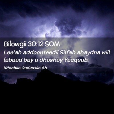 Picture 02 - Bilowgii 30:12 SOM - Lee'ah addoonteedii Silfah ahaydna wiil labaad - Bible Verse Picture