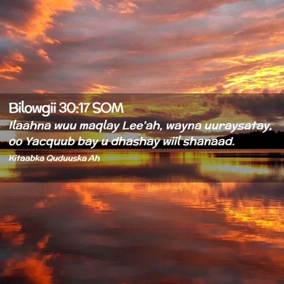 Picture 02 - Bilowgii 30:17 SOM - Ilaahna wuu maqlay Lee'ah, wayna uuraysatay, oo - Bible Verse Picture