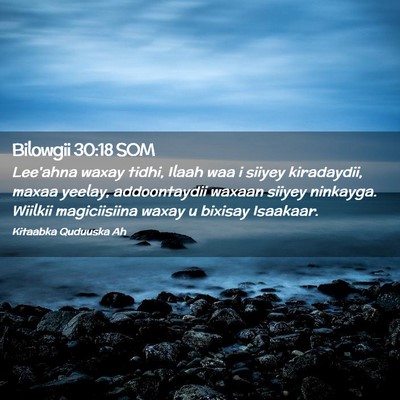 Picture 02 - Bilowgii 30:18 SOM - Lee'ahna waxay tidhi, Ilaah waa i siiyey - Bible Verse Picture
