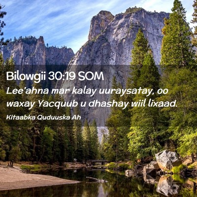 Picture 02 - Bilowgii 30:19 SOM - Lee'ahna mar kalay uuraysatay, oo waxay Yacquub u - Bible Verse Picture