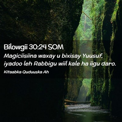 Picture 02 - Bilowgii 30:24 SOM - Magiciisiina waxay u bixisay Yuusuf, iyadoo leh - Bible Verse Picture