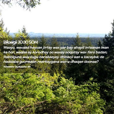 Picture 02 - Bilowgii 30:30 SOM - Waayo, waxaad haysan jirtay wax yar bay ahayd - Bible Verse Picture