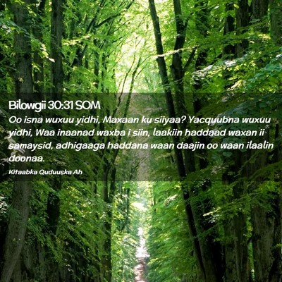 Picture 02 - Bilowgii 30:31 SOM - Oo isna wuxuu yidhi, Maxaan ku siiyaa? Yacquubna - Bible Verse Picture
