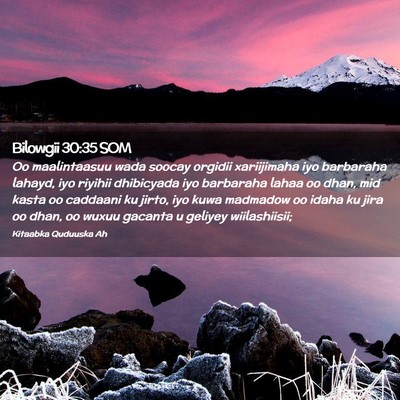 Picture 02 - Bilowgii 30:35 SOM - Oo maalintaasuu wada soocay orgidii xariijimaha - Bible Verse Picture
