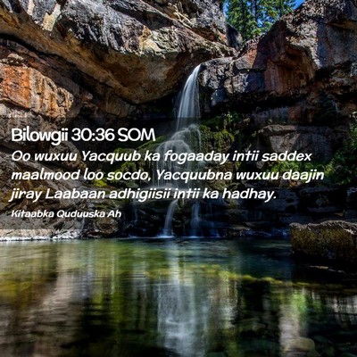 Picture 02 - Bilowgii 30:36 SOM - Oo wuxuu Yacquub ka fogaaday intii saddex - Bible Verse Picture