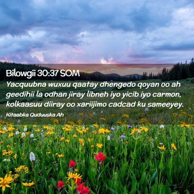Picture 02 - Bilowgii 30:37 SOM - Yacquubna wuxuu qaatay dhengedo qoyan oo ah - Bible Verse Picture