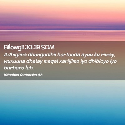 Picture 02 - Bilowgii 30:39 SOM - Adhigiina dhengedihii hortooda ayuu ku rimay, - Bible Verse Picture