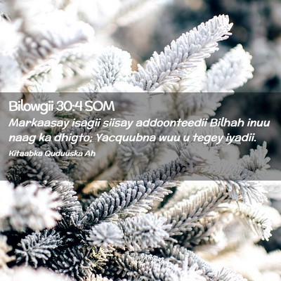 Picture 02 - Bilowgii 30:4 SOM - Markaasay isagii siisay addoonteedii Bilhah inuu - Bible Verse Picture