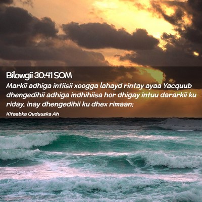 Picture 02 - Bilowgii 30:41 SOM - Markii adhiga intiisii xoogga lahayd rintay ayaa - Bible Verse Picture