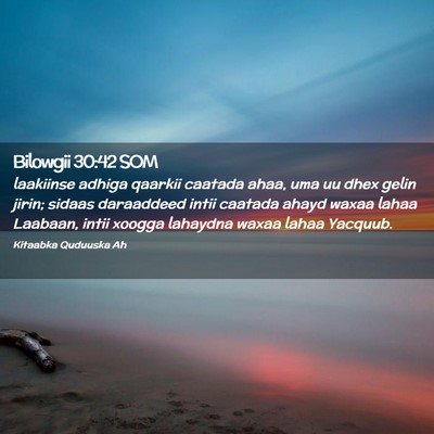 Picture 02 - Bilowgii 30:42 SOM - laakiinse adhiga qaarkii caatada ahaa, uma uu - Bible Verse Picture