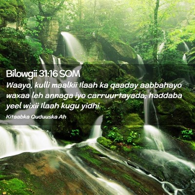 Picture 02 - Bilowgii 31:16 SOM - Waayo, kulli maalkii Ilaah ka qaaday aabbahayo - Bible Verse Picture